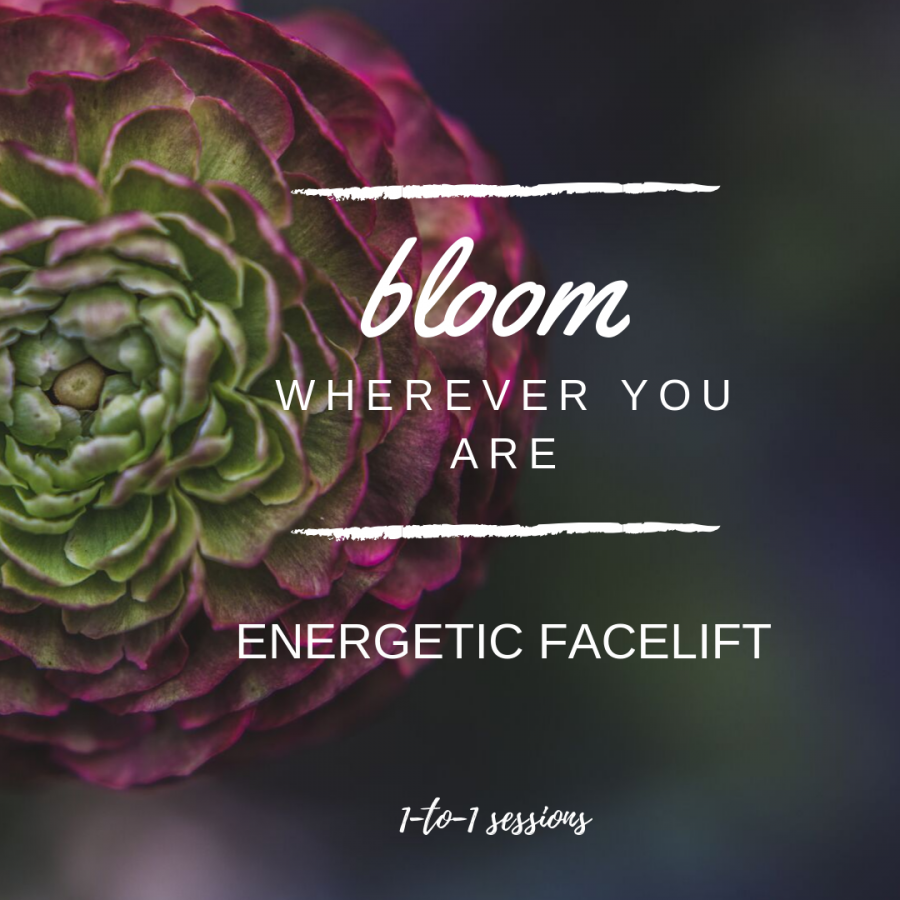 Access Energetic Facelift Private Sessions